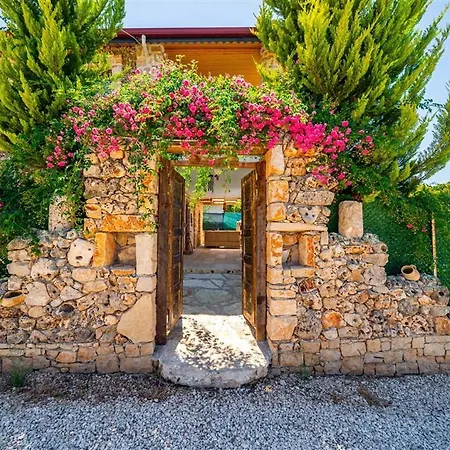 Güneş Kaş
